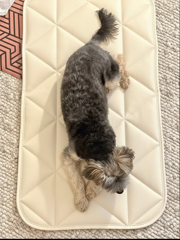 TRAVEL DOG BED | 16"x30" | Cream