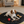 Charger l'image dans la galerie, Dog lying on a black mat with toys in a cozy living room.
