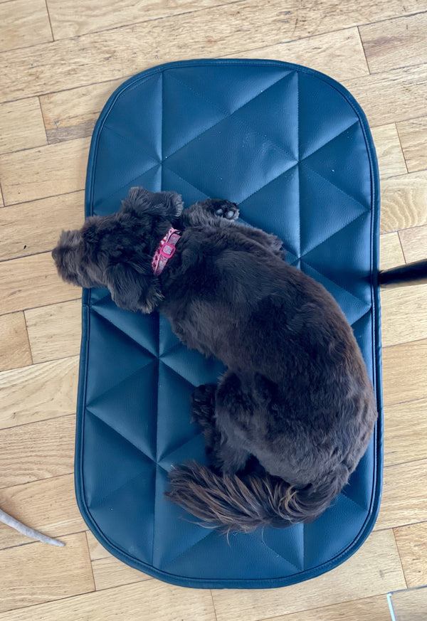 Padded Pet Bed | 16"x30" | Navy Blue
