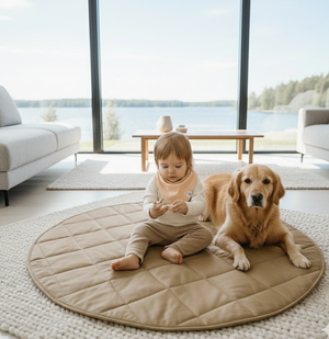 Child sitting on a round mat with a dog in a modern living room.