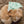 Charger et lire la vidéo dans la visionneuse de la Galerie, Cactus Dog Bandana Bib — Mint Green Print
