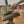 Load and play video in Gallery viewer, MINI MAT | 14&quot;x22&quot; | HUNTER GREEN + TAN

