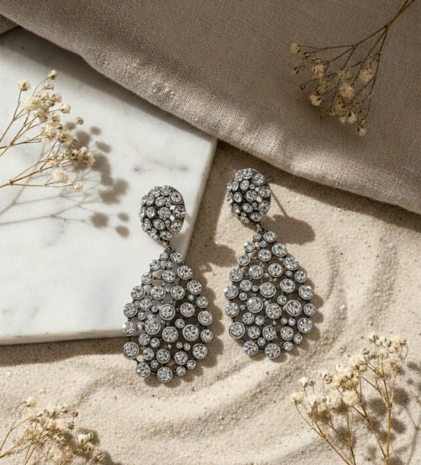 Pair of silver earrings on a textured surface with dried flowers.