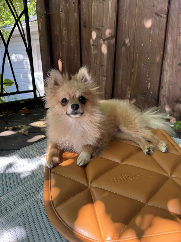 TRAVEL DOG BED | 16"x30" | Amber