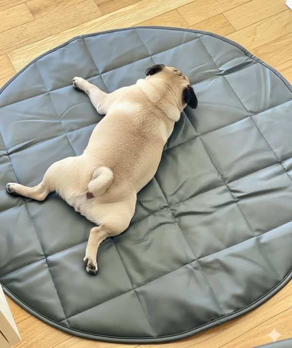 TRAVEL DOG BED | 47" | BLack +Cream