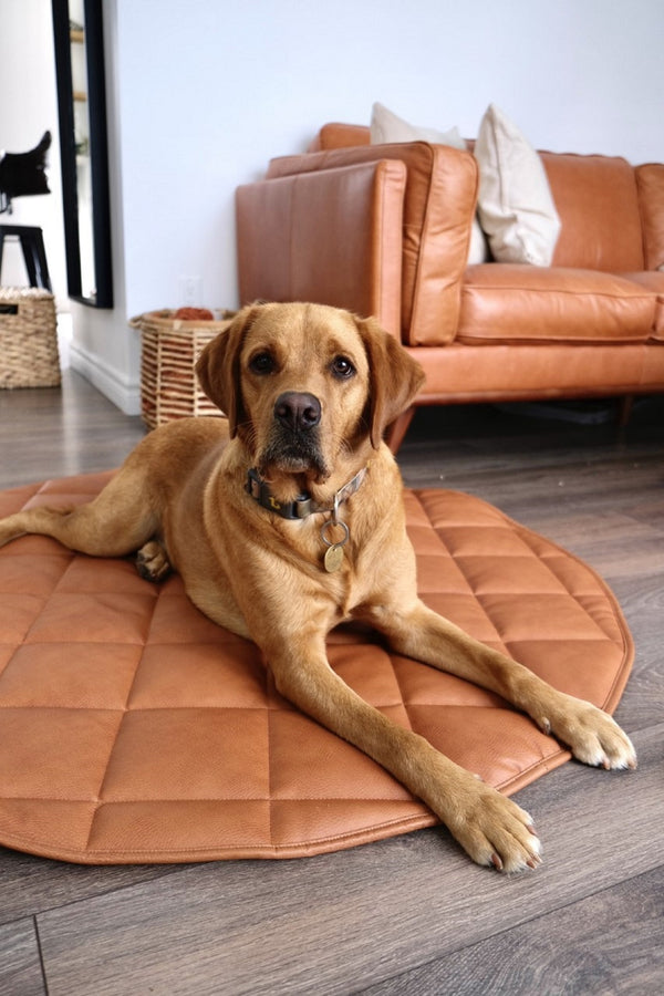 TRAVEL DOG BED | 47'' |  PUMPKIN + CREAM