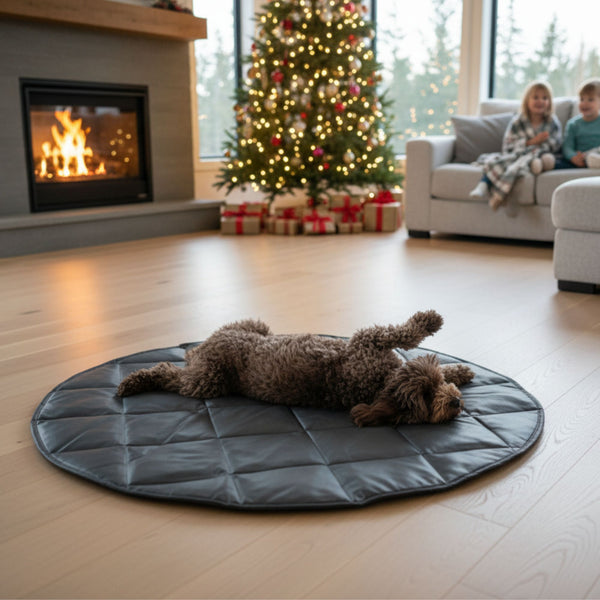 TRAVEL DOG BED | 47" | BLack +Cream