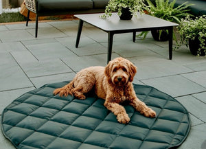 Dog lying on a green quilted mat outdoors with a patio and plants in the background