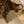 Load image into Gallery viewer, Cat eating from a bowl on a wooden floor with a polka dot mat underneath.
