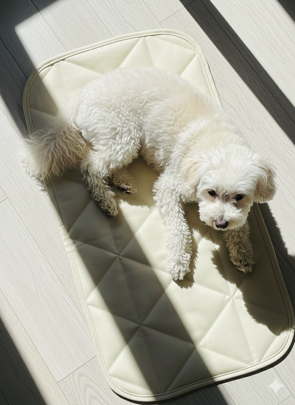 TRAVEL DOG BED | 16"x30" | Cream
