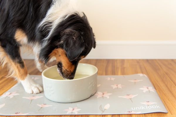 Pet food mat | Calm