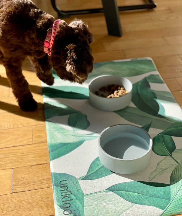 Pet food mat | Outside