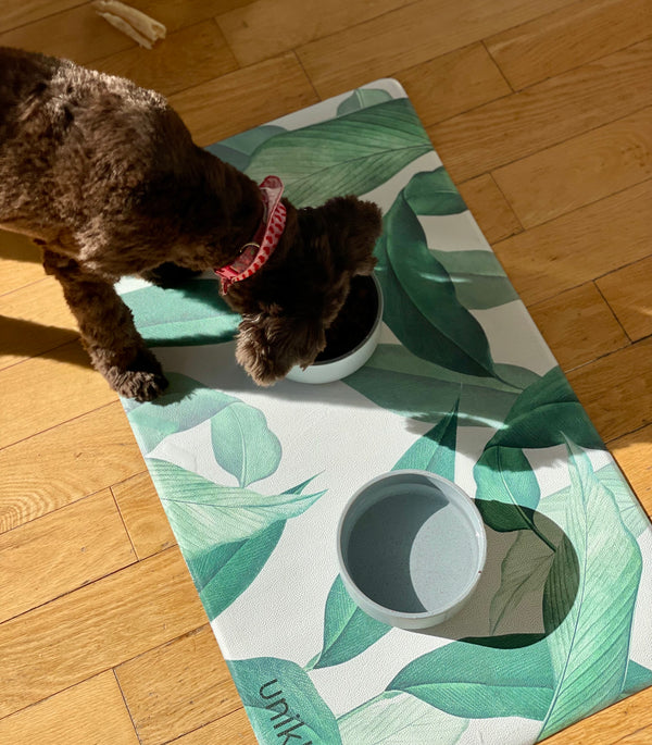 Pet food mat | Outside
