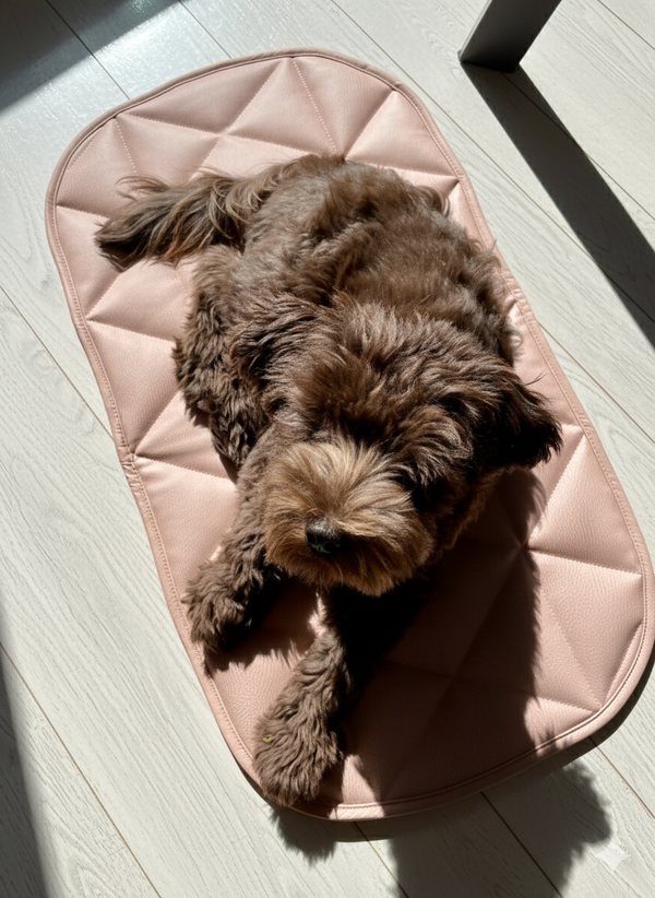TRAVEL DOG BED | 16"x30" | pink