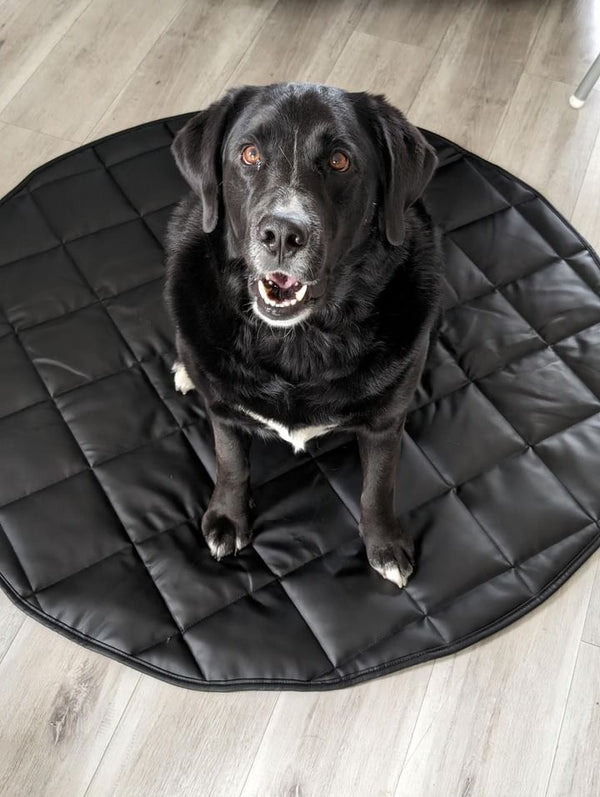 Dog Travel Bed | 35'' |  Black +Cream