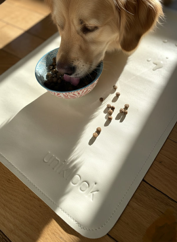 Leather pet food mat | 30"x16" | Cream