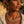 Charger l'image dans la galerie, A close-up of a woman wearing a chunky gold Cuban link chain necklace and matching gold hoop earrings, photographed outdoors in warm golden hour light.
