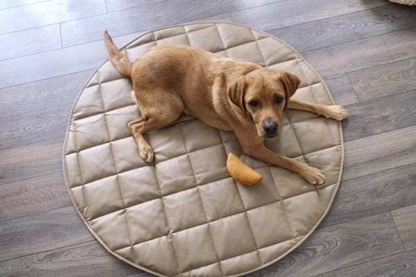 Padded round mat | Doggy