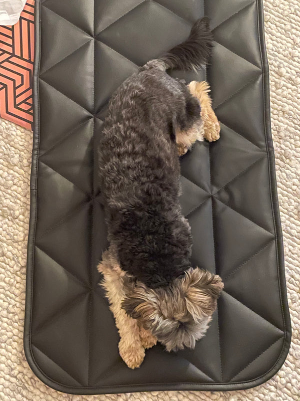 `quilted black leather mat with dog on it